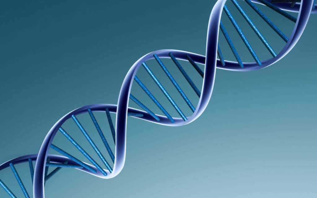 3D DNA double helix on smooth blue gradient background detailed strands molecular bonds wallpaper