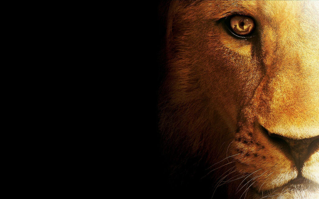 Majestic 3D Lion Wallpaper: Fierce & Dramatic Dark Background