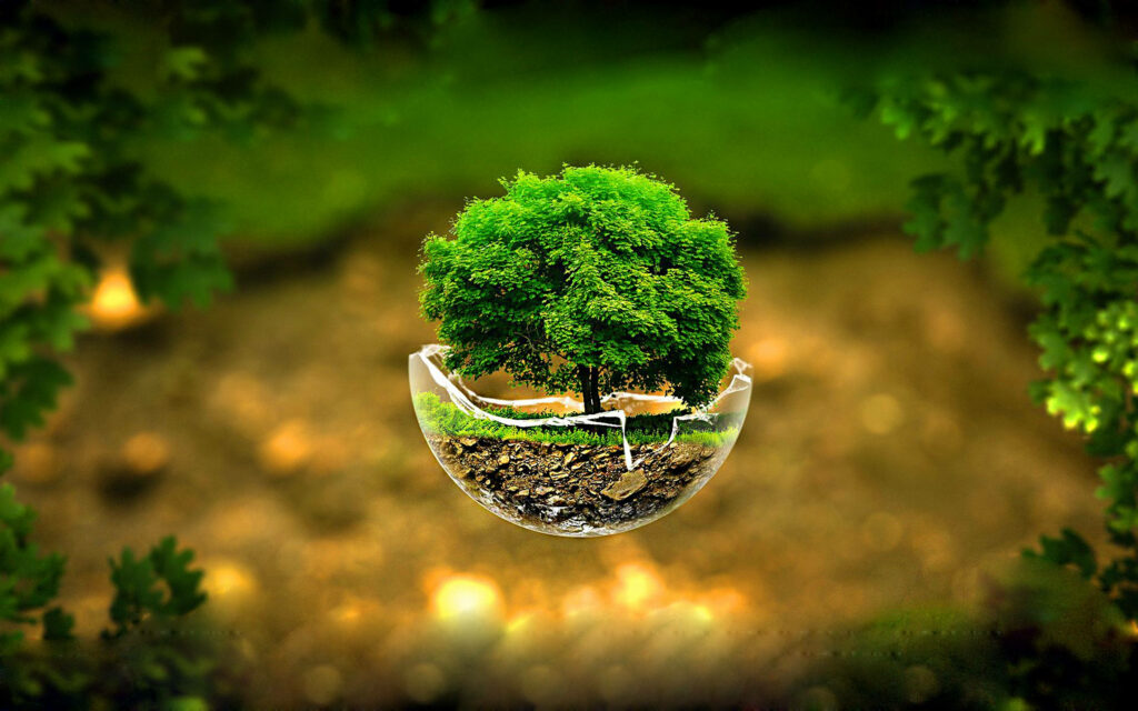 3D Miniature Green Tree in Transparent Cup - Vibrant Wallpaper Background