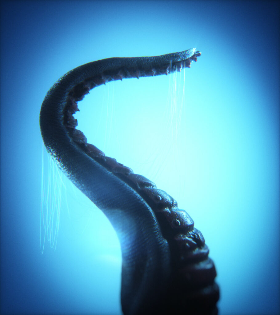 3D Tentacled Creature Wallpaper | Eerie Blue Background Art