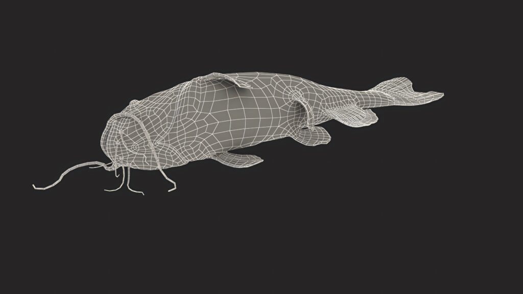 3D wireframe Channel Catfish wallpaper with white lines on dark background highlighting fins and whiskers
