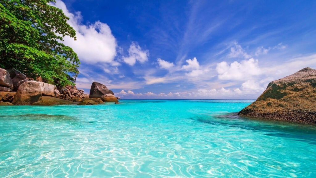 Tranquil 4K Beach Wallpaper: Crystal Waters & Lush Greenery Escape