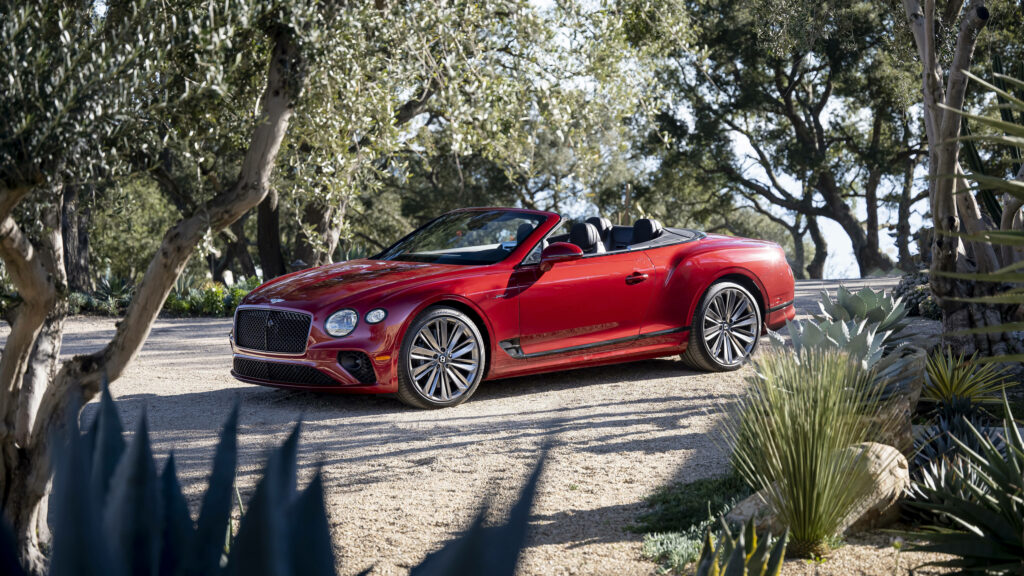Striking Red Bentley Continental GT Convertible Embraced by Nature's Canopy Wallpaper