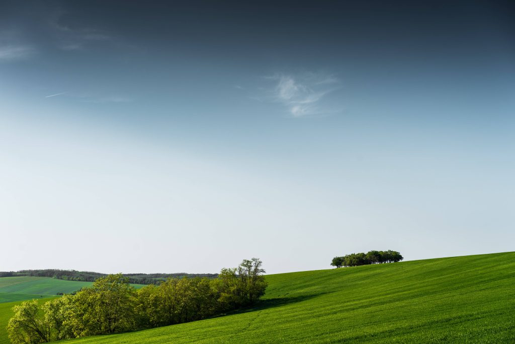 4K minimalist wallpaper of vibrant green rolling hills with diagonal tree line under blue sky