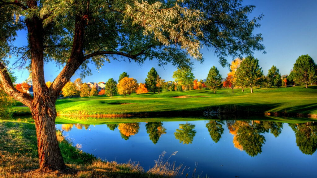 Autumn Ambience: QHD Wallpaper of Lush Greenery and Serene Landscape