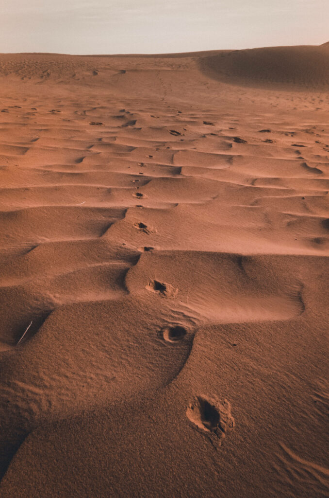 Trailblazing Hoof Prints: The Perfect iPhone Lock Screen Wallpaper