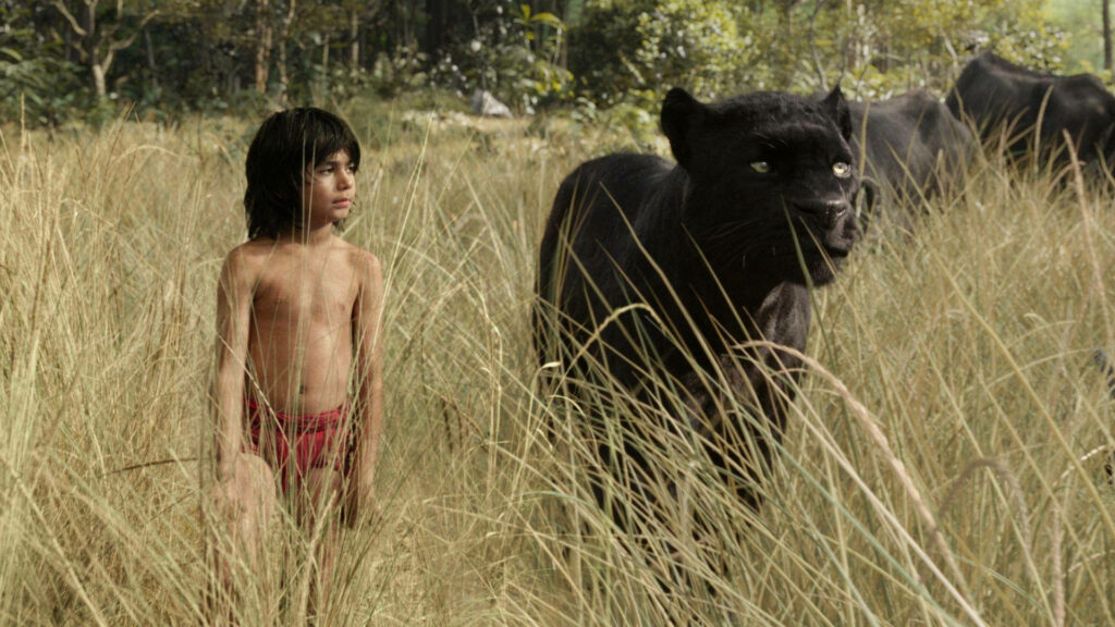 Mowgli and Bagheera walking through tall golden jungle grass vibrant scene from The Jungle Book Wallpaper