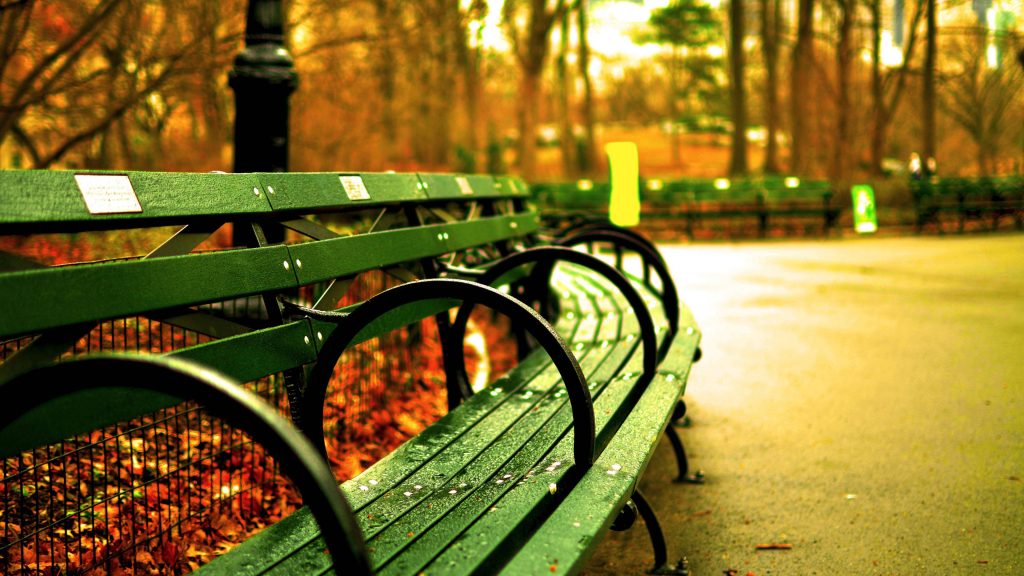 8K desktop wallpaper of classic green Central Park bench with autumn leaves and blurred background