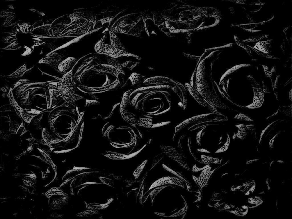 Elegant Gothic Black Rose Wallpaper with Subtle Shimmer - Ideal for 4K Screens