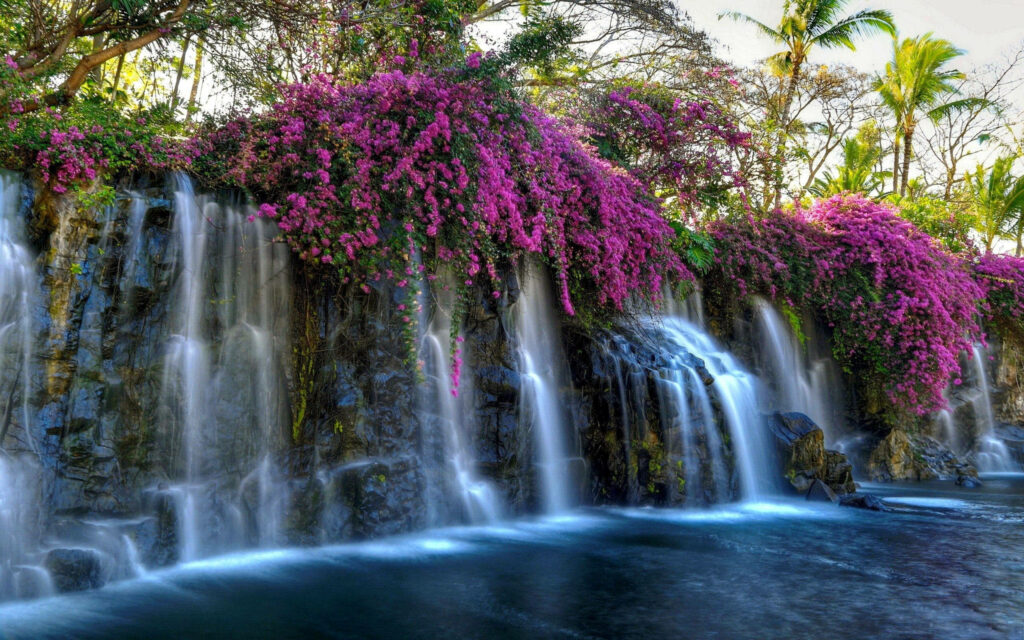 Serene Splendor: Purple Flowers and Beautiful Waterfalls in Distant View Wallpaper