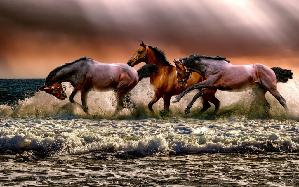 Majestic Sunlit Coastal Stampede: Captivating HD Wallpaper of a Herd of Splashing Brown Horses at Sunset by the Sea