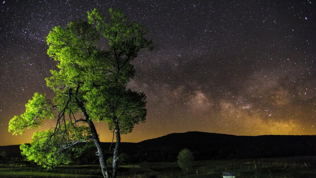 Majestic Nighttime Tapestry: A Mesmerizing HD Wallpaper Featuring a Starlit Sky and Enchanting Tree