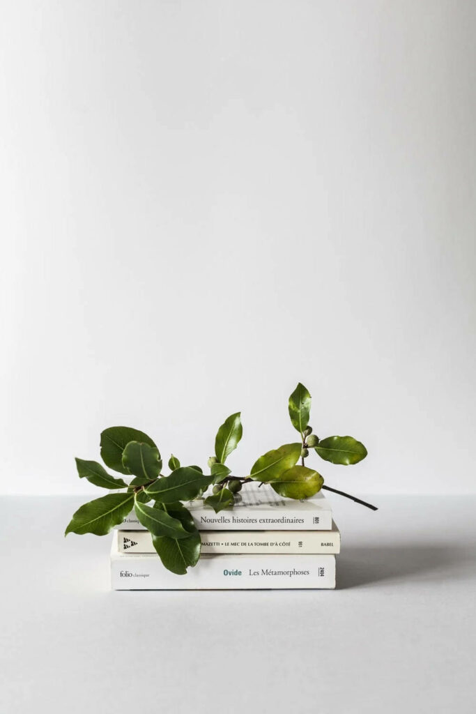 Nature's Wisdom: A Tranquil Green and White Aesthetic Background with Stacked Books and Tree Branch Accent Wallpaper