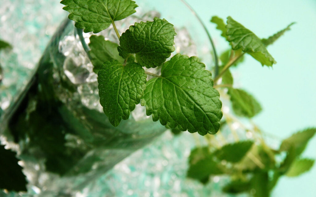 Refreshing Mint Infusion: A Cool Wallpaper of an Ice-Cold Juice Drink with Fragrant Mint Leaves