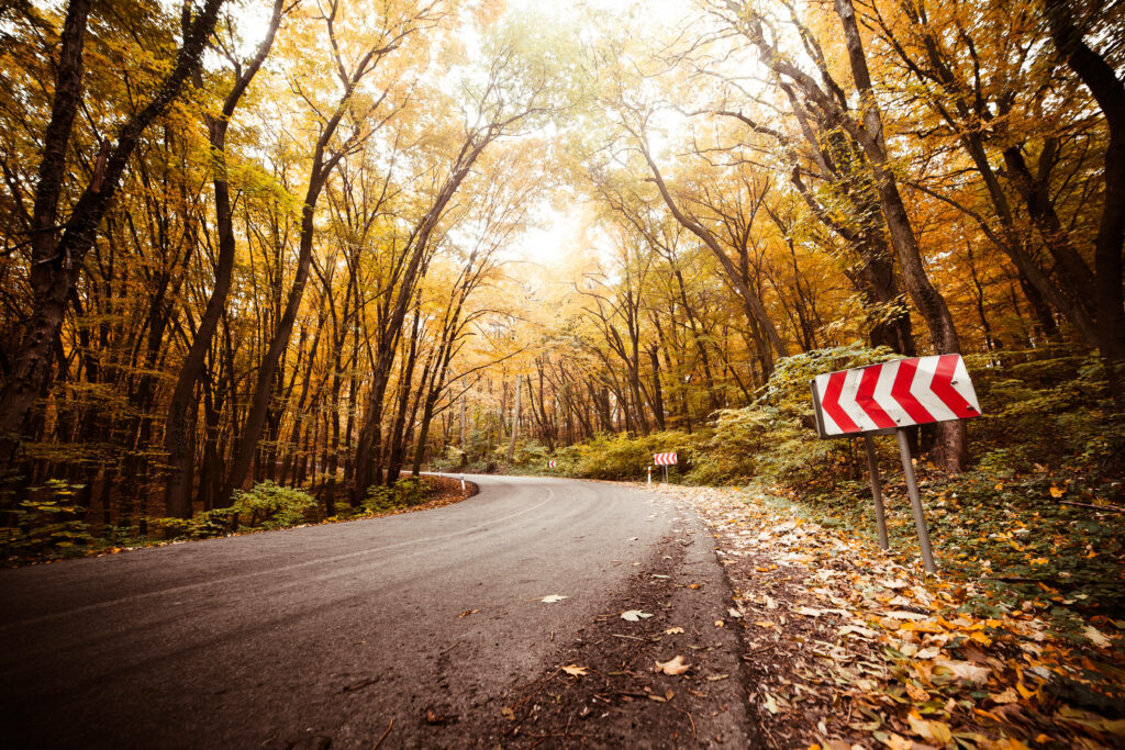 Enchanting Pathway: Radiant Tree-lined Road in Autumn's Glow - Mesmerizing Autumn Desktop Wallpaper