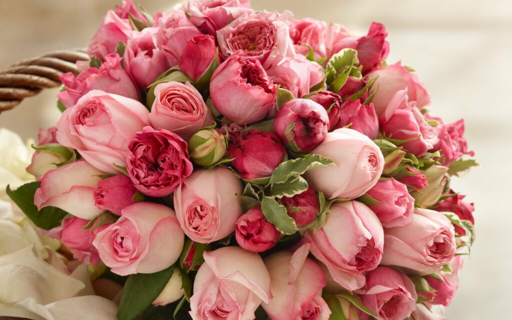 Ravishing Pink Beauty: A Bouquet of Delicate Roses Captured in QHD Wallpaper