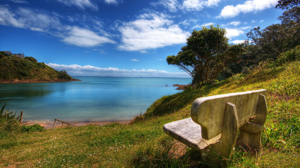 Solitude and Tranquility: 4k Nature Wallpaper showcasing a solitary bench amidst lush greenery and trees, offering a mesmerizing view of a serene sea