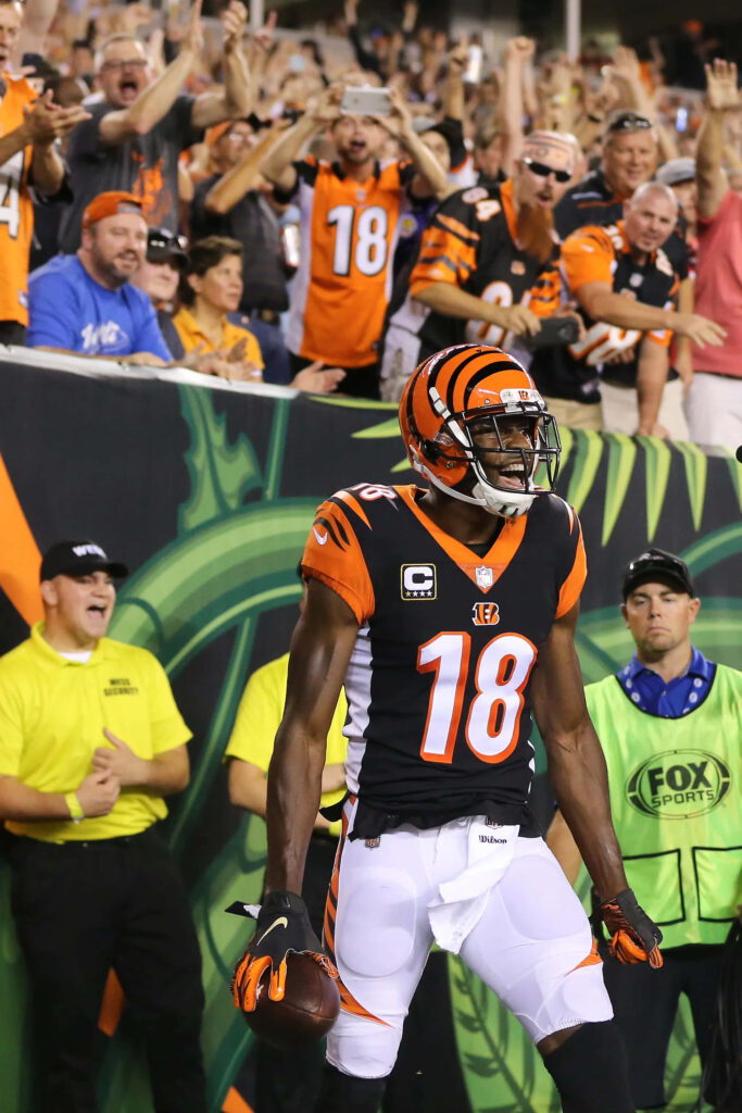 A.J. Green celebrates Bengals touchdown with cheering fans creating electrifying football atmosphere Wallpaper