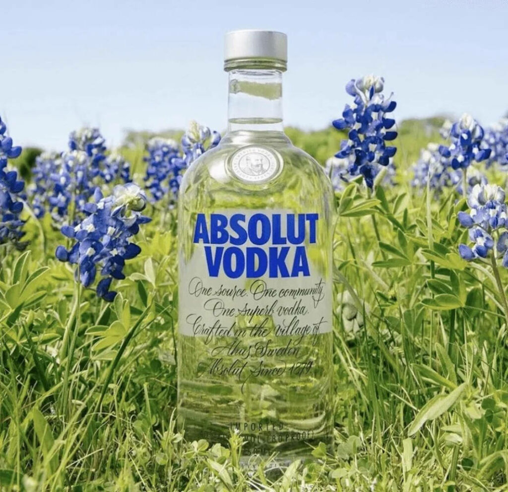 Absolut Vodka bottle in blooming bluebonnet field bright clear sky springtime wallpaper background