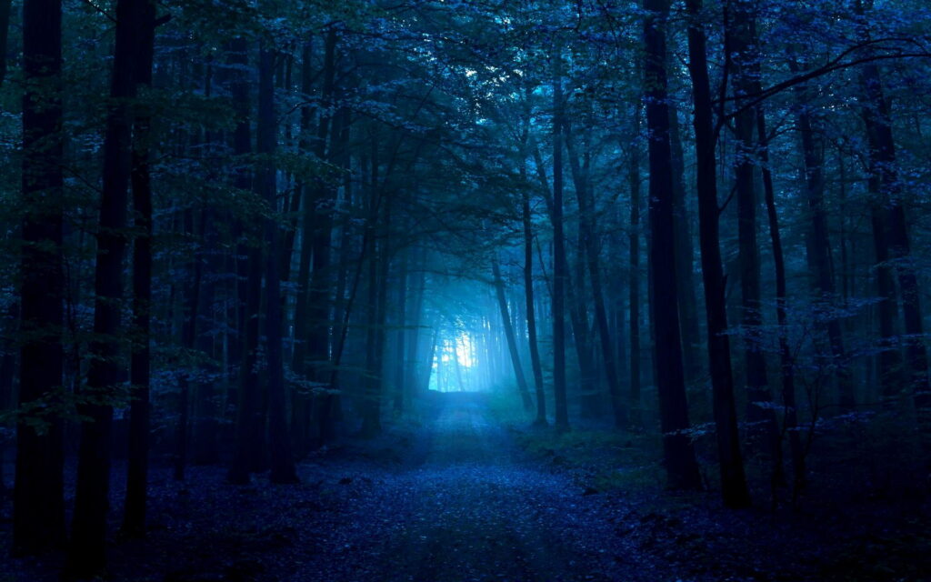 Dark blue forest trail with silhouetted trees and glowing light creating moody woodland scene Wallpaper