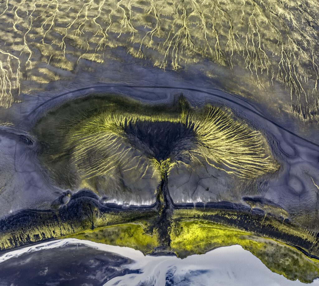 Abstract aerial view wallpaper of vibrant green and yellow tree shape on rippled sandy shore lake