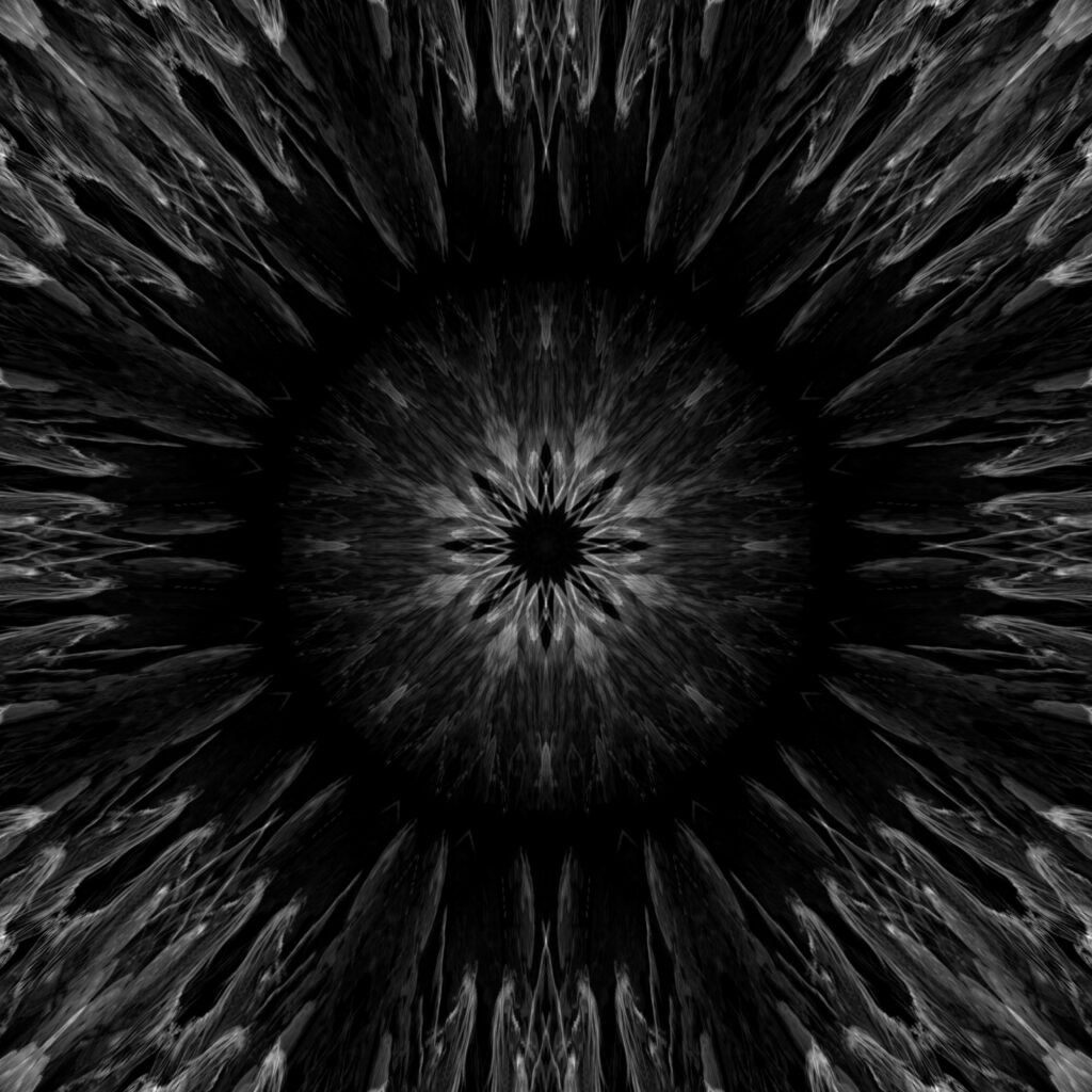 Dynamic Black and White Floral Abstract Wallpaper Background
