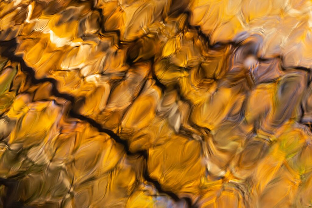 Abstract Brown and Gold Wallpaper - High-Resolution Background