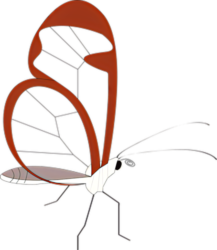 Minimalist Abstract Butterfly Wallpaper: Sleek Graphic Design Background