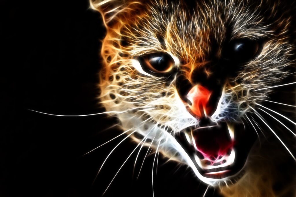 Aggressive Cat Wallpaper: Intense Feline Art 1920x1280