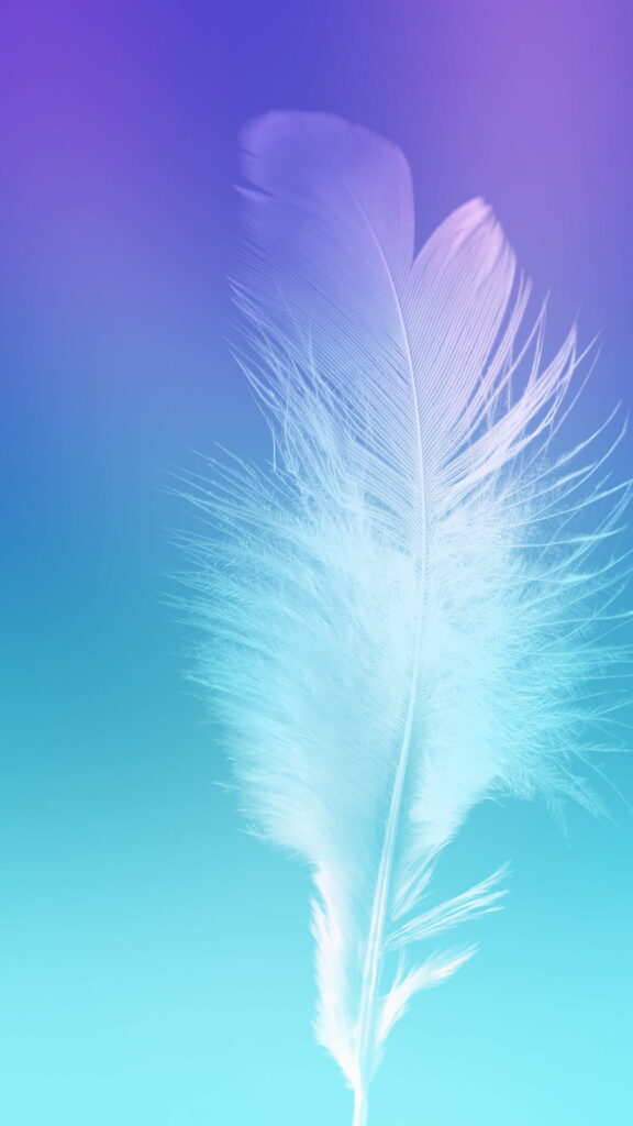 Feathered Abstraction: Vibrant HD Phone Wallpaper Reflecting Default Background Photo
