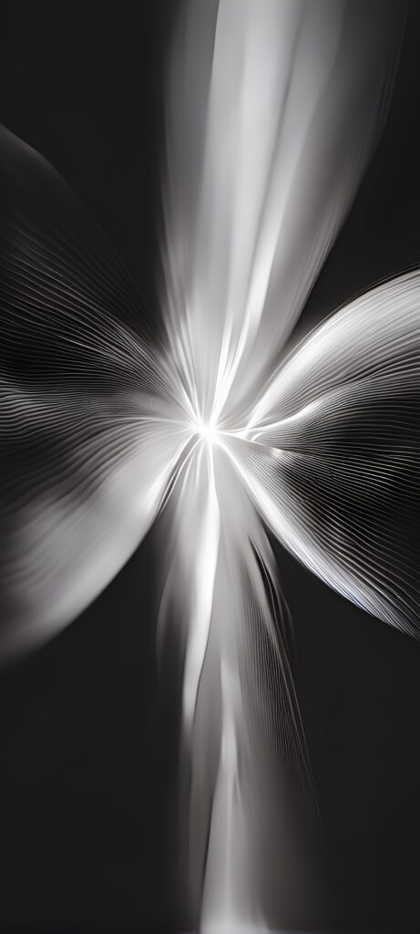 Black and White Abstract Flower Wallpaper: Dynamic Light & Depth