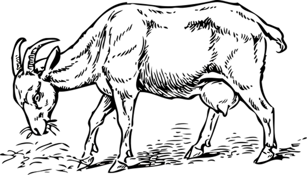 Minimalist Goat Silhouette Wallpaper: Striking Dark & Light Design