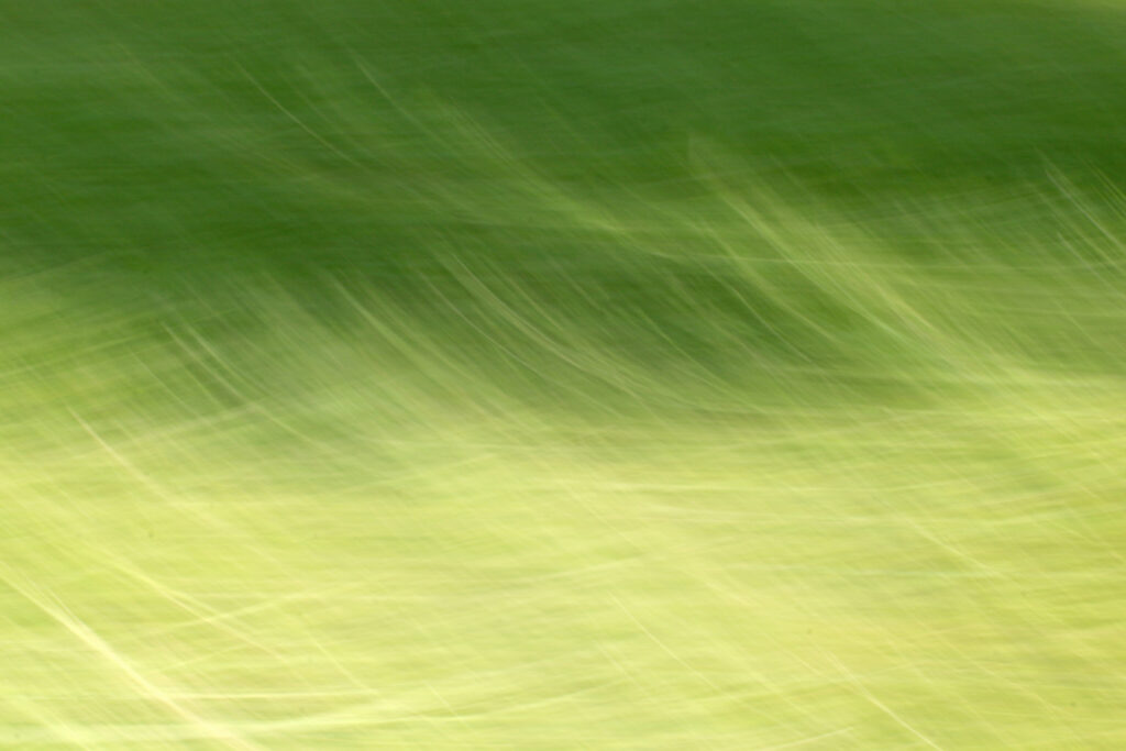 Tranquil Abstract Green Wallpaper with Flowing Lines & Threads