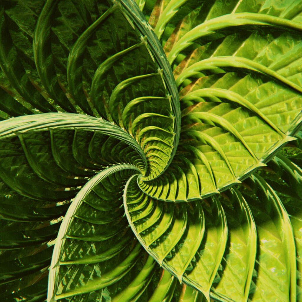 Dynamic Abstract Green Wallpaper with Twisting Stripes - 2160x2160
