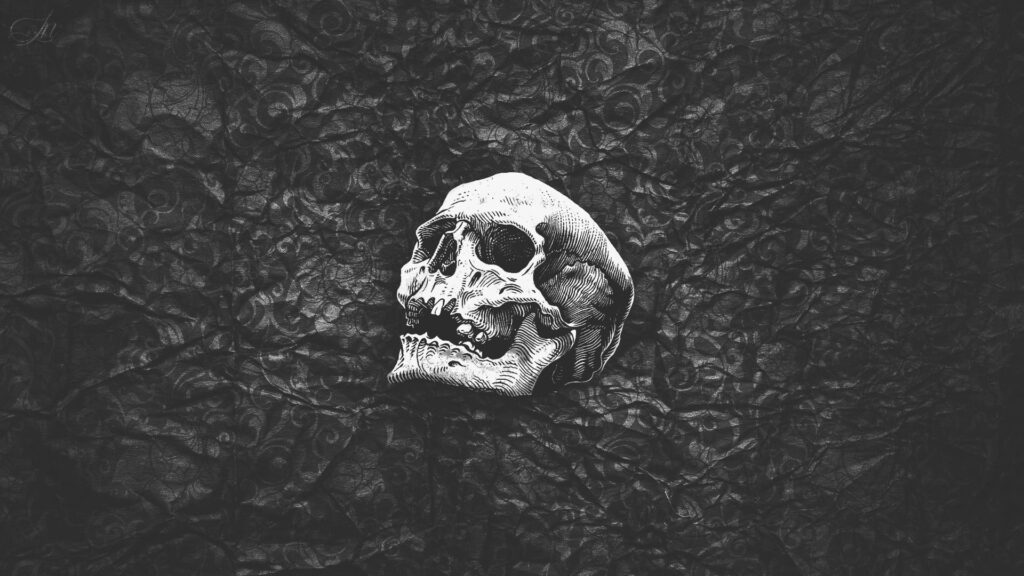 Abstract Artwork: Black and White Human Skull Wallpaper in HD
