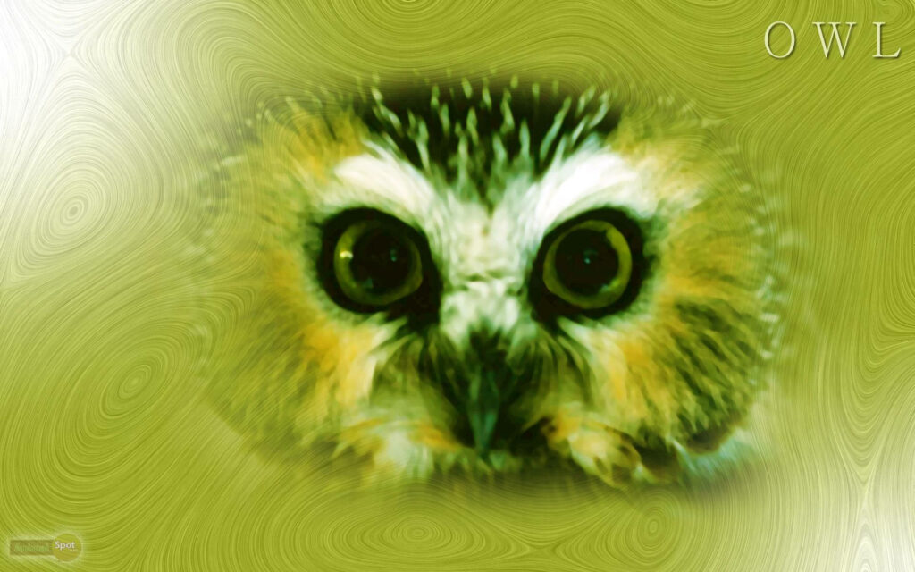 Vivid Owl Art Wallpaper: Yellow & Green Abstract Background