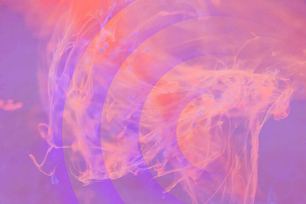 Vibrant Abstract Wallpaper: Powder Pink Splash & Dynamic Background