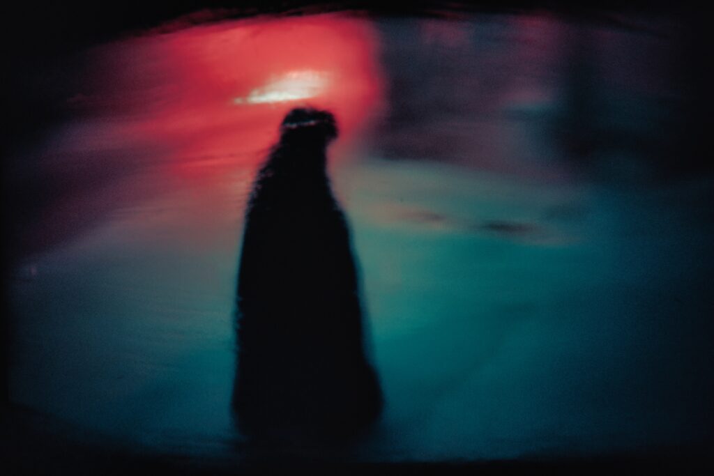 Abstract Silhouette Wallpaper: Dark Background with Red and Blue Hues