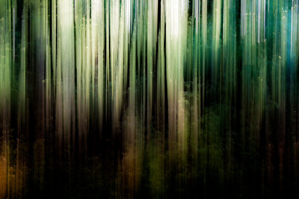 Spring Forest Abstract Wallpaper: Colors of Renewal & Nature