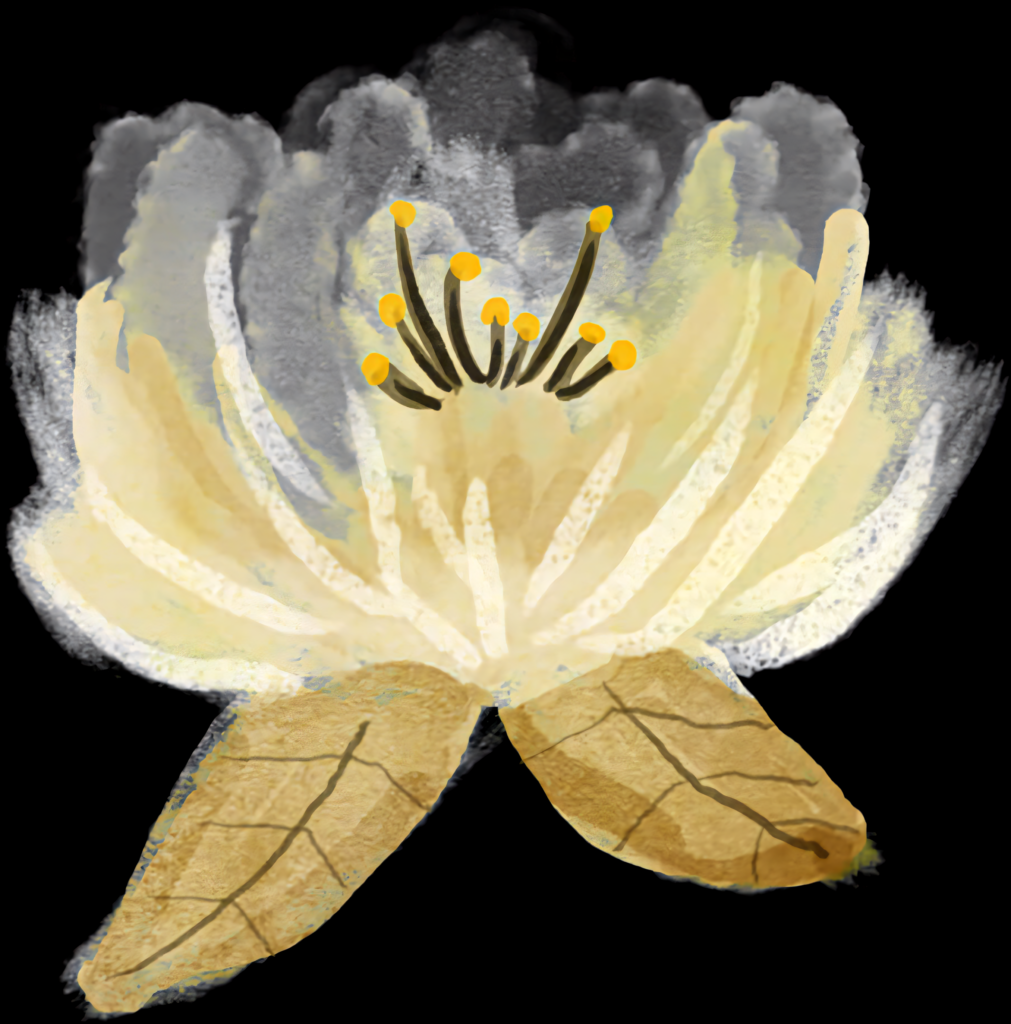 Abstract Yellow Flower Wallpaper: Artistic Brush Strokes & Textures