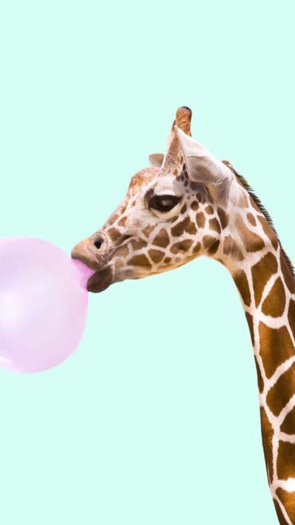 Unlock Happiness with this Charming Animal iPhone Background: A Delightful Image for Your Lock-Screen Wallpaper