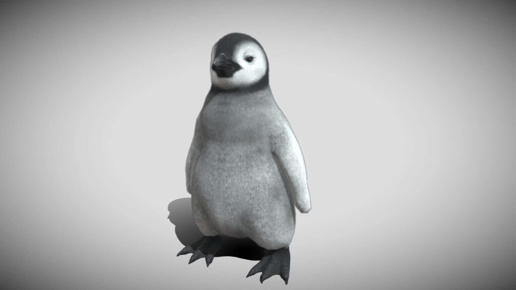 Adorable Baby Penguin Wallpaper: Fluffy & Cute on Soft Background