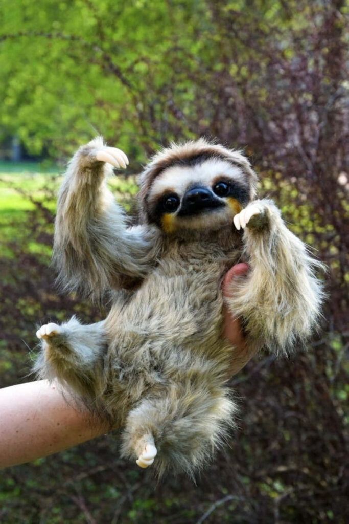 Adorable Baby Sloth Snuggling in Lush Green Background Wallpaper