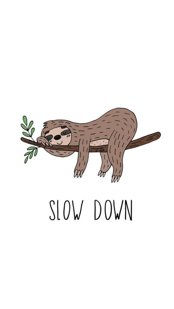 Adorable Baby Sloth Wallpaper: Slow Down and Relaxing Design