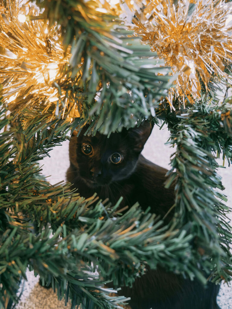 Playful Black Kitten Peeking Through Festive Christmas Tree Wallpaper