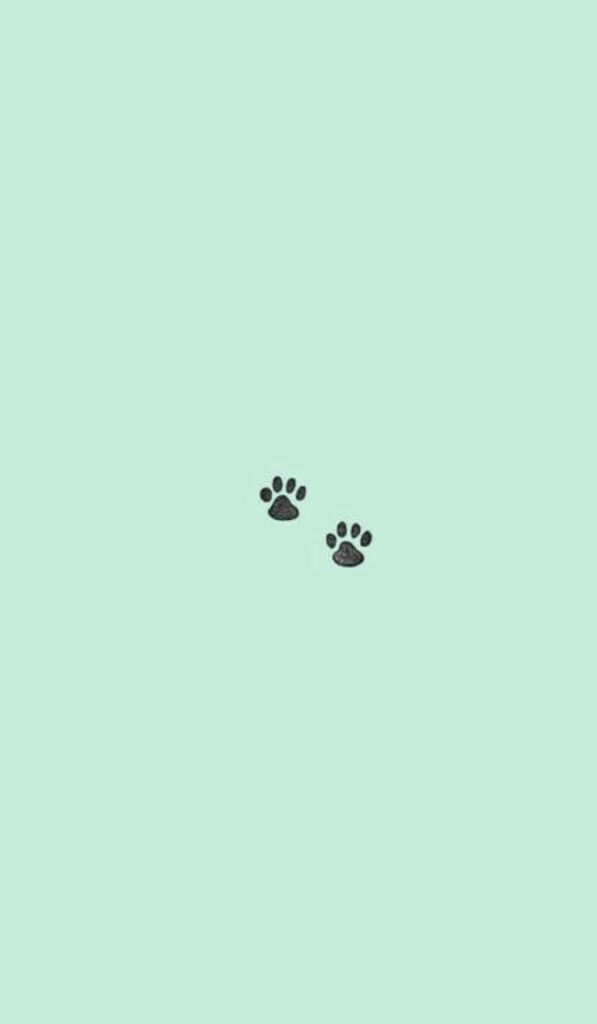 Charming Mint Green Wallpaper with Adorable Black Paw Prints