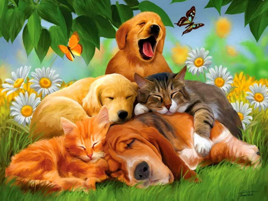 3D wallpaper of adorable cats and dogs napping in sunlit meadow with flowers and butterflies