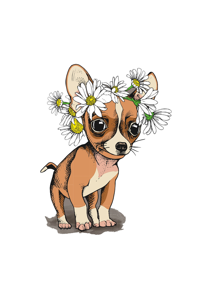 Charming Chihuahua in Daisy Crown - Cute Pet Wallpaper Background