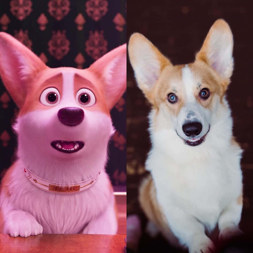Adorable Corgi Rex vs Real Corgi: Fun Wallpaper Background