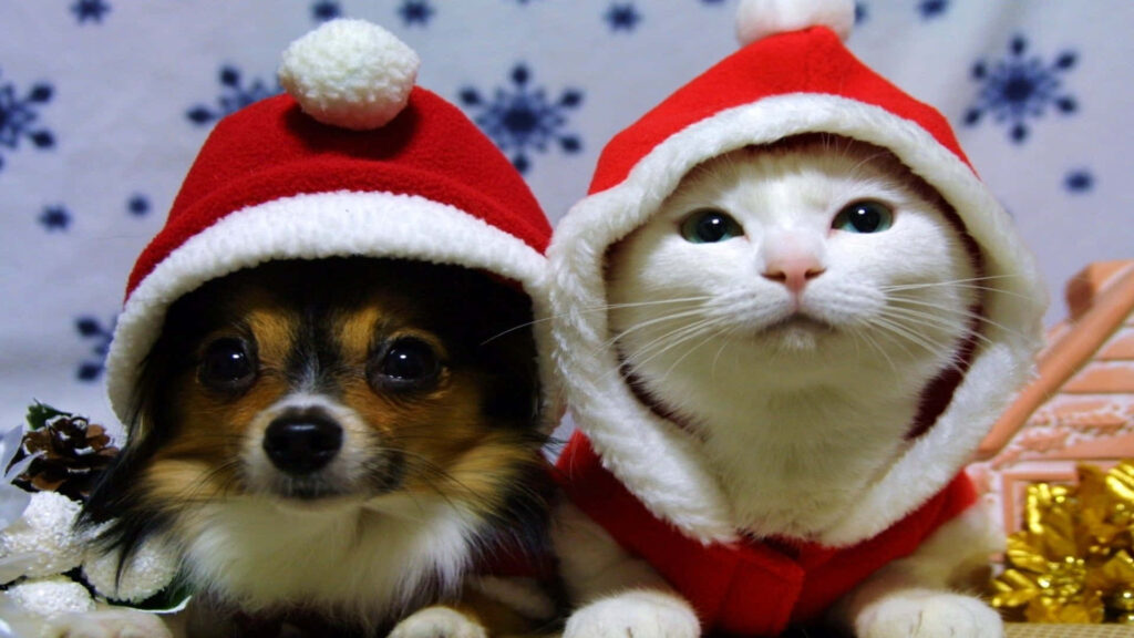 Festive Dog and Cat Duo Wallpaper: Holiday Spirit with Snowflakes